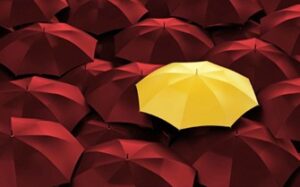 consistent visuals - social media - s2r studios